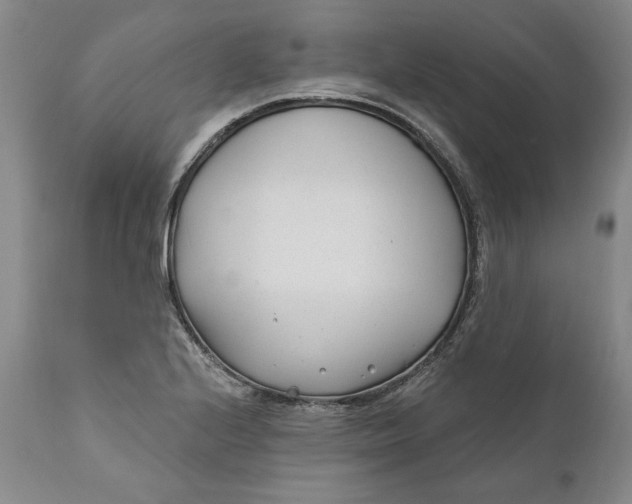 X0000110921224200907021451