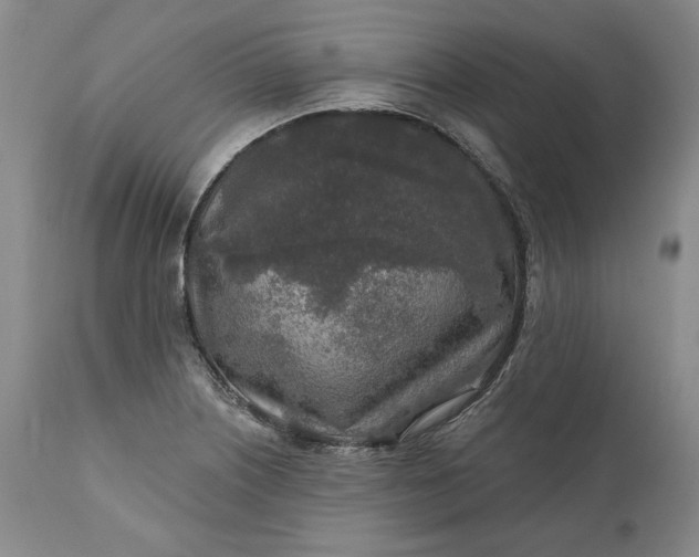 X0000110921226200907021451