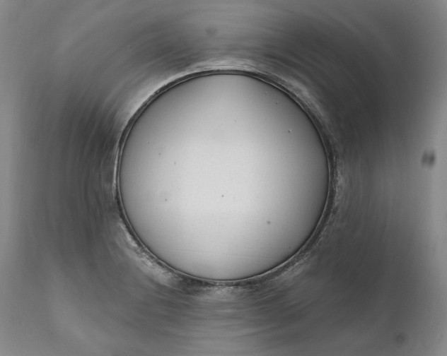 X0000110921228200907021451
