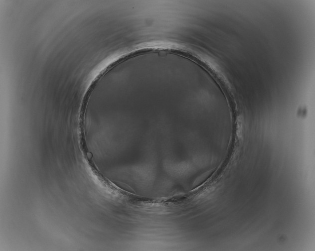 X0000110921229200907021451