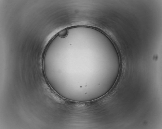 X0000110921230200907021451