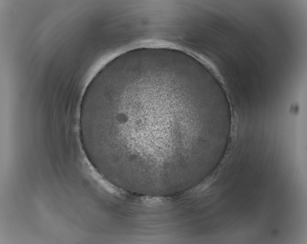 X0000110921231200907021451