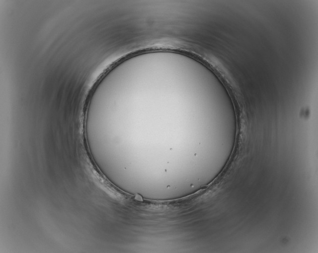 X0000110921232200907021451