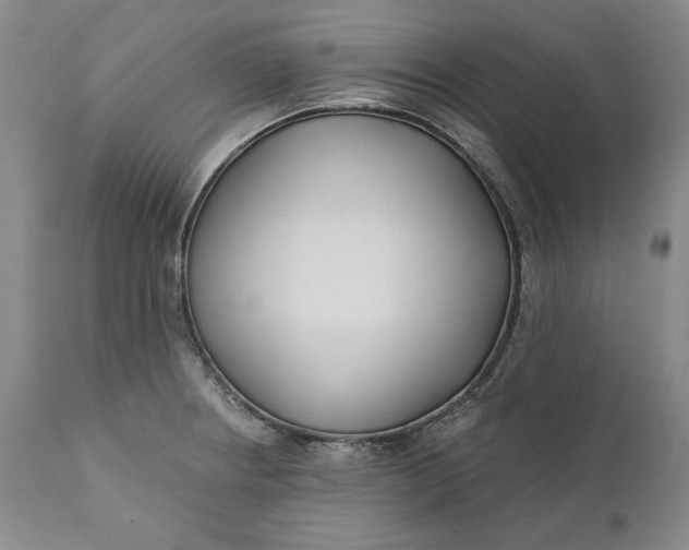X0000110921234200907021451