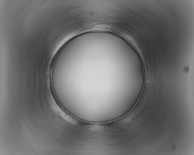 X0000110921235200907021451