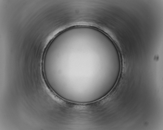 X0000110921237200907021451