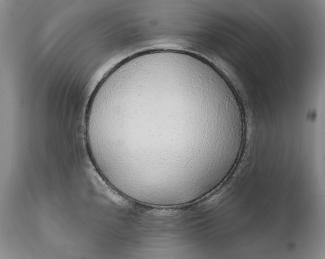 X0000110921240200907021452