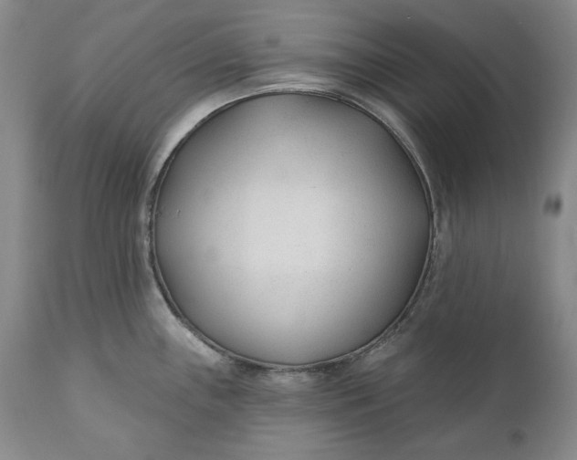 X0000110921243200907021452