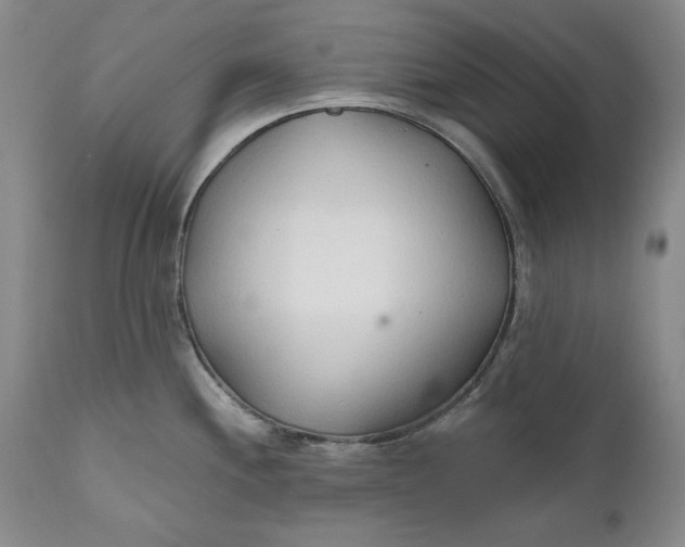 X0000110921244200907021452