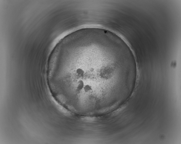 X0000110921245200907021452