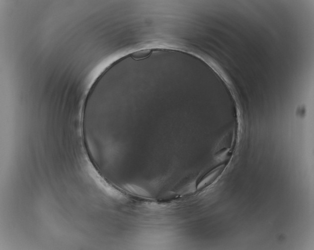 X0000110921246200907021452