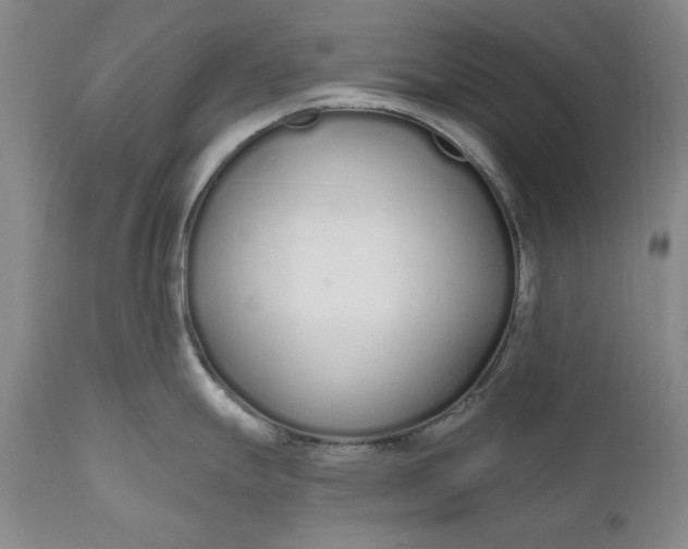 X0000110921247200907021452