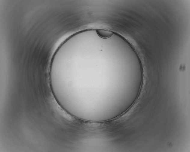X0000110921248200907021452