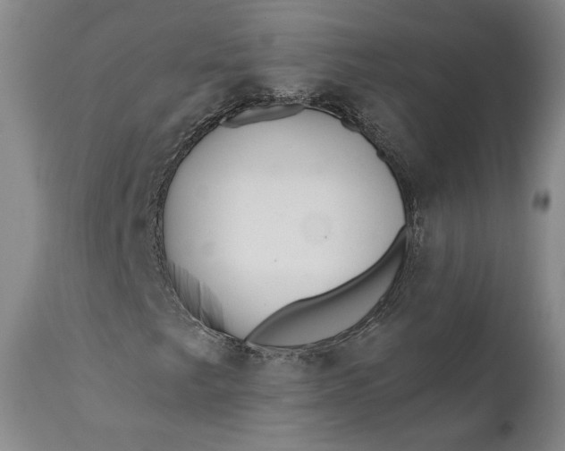 X0000110921249200907021451