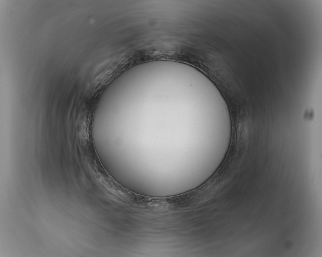X0000110921250200907021451