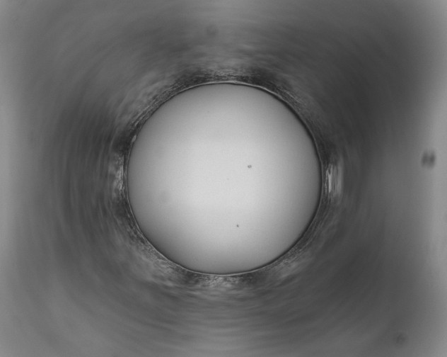 X0000110921251200907021451