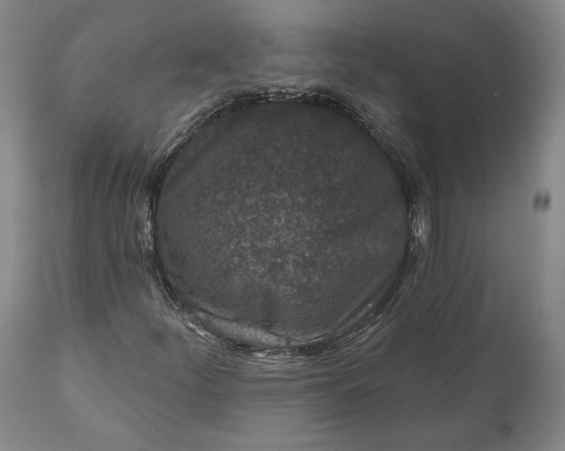 X0000110921252200907021451