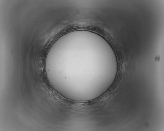 X0000110921253200907021451