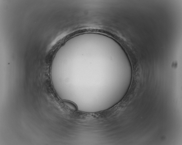 X0000110921255200907021451