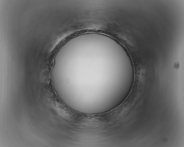 X0000110921256200907021451