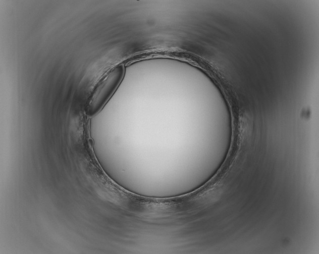 X0000110921257200907021451