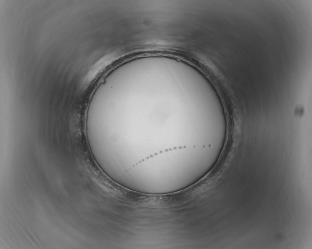 X0000110921259200907021451