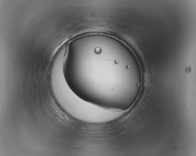X0000110921260200907021451