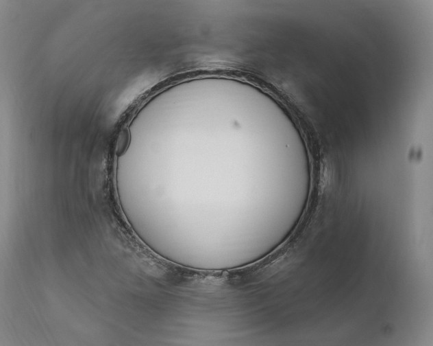 X0000110921261200907021451