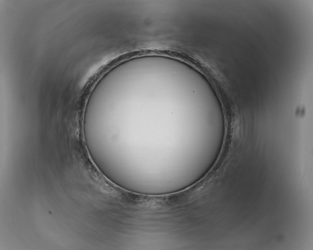 X0000110921262200907021451