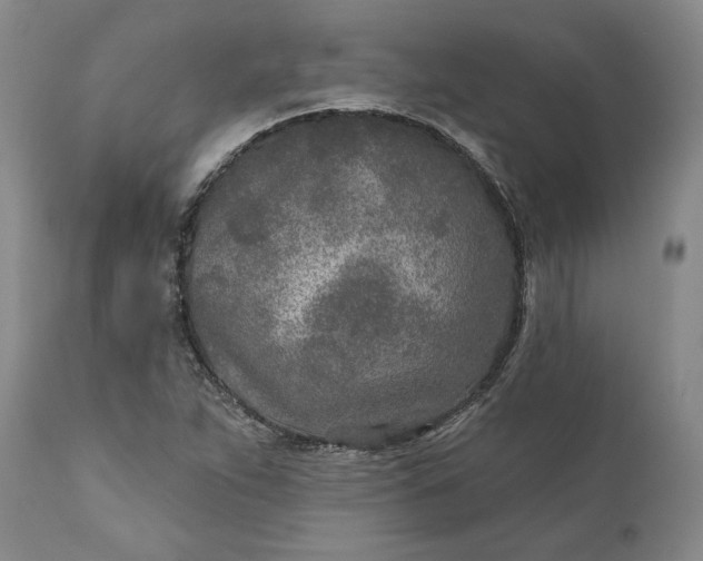 X0000110921263200907021451