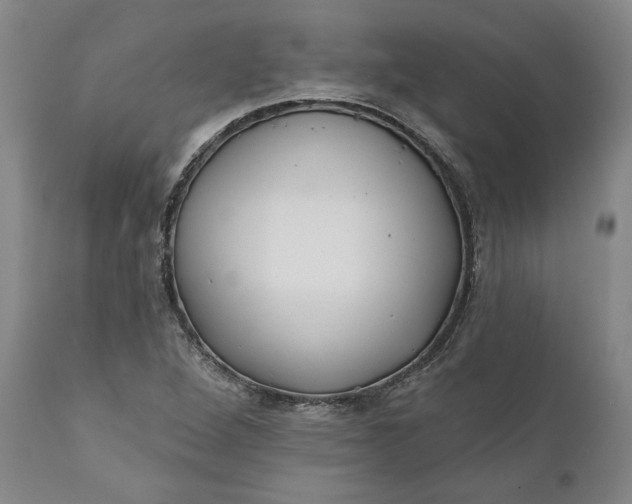 X0000110921264200907021451