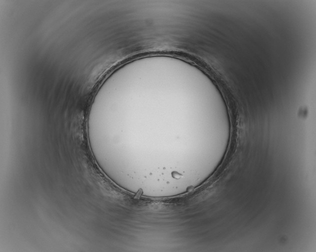 X0000110921265200907021451