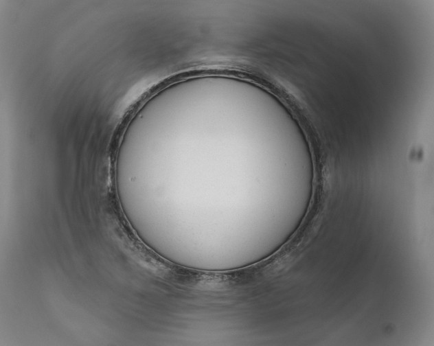 X0000110921267200907021451