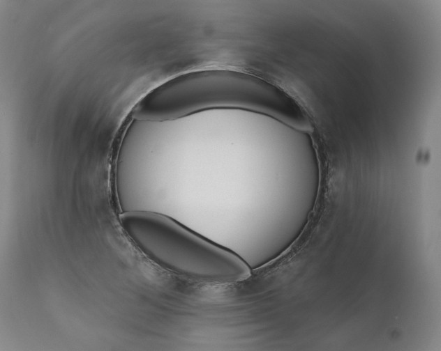 X0000110921268200907021451