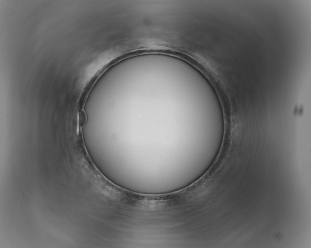 X0000110921269200907021451