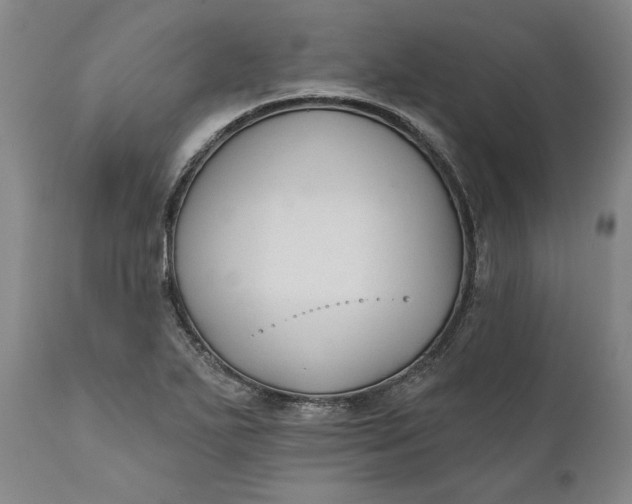 X0000110921271200907021451
