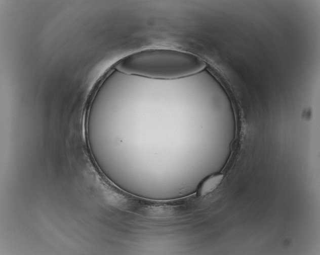 X0000110921272200907021451