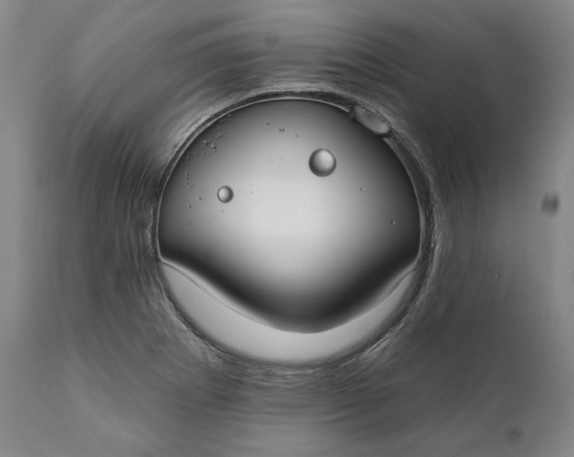 X0000110921273200907021451
