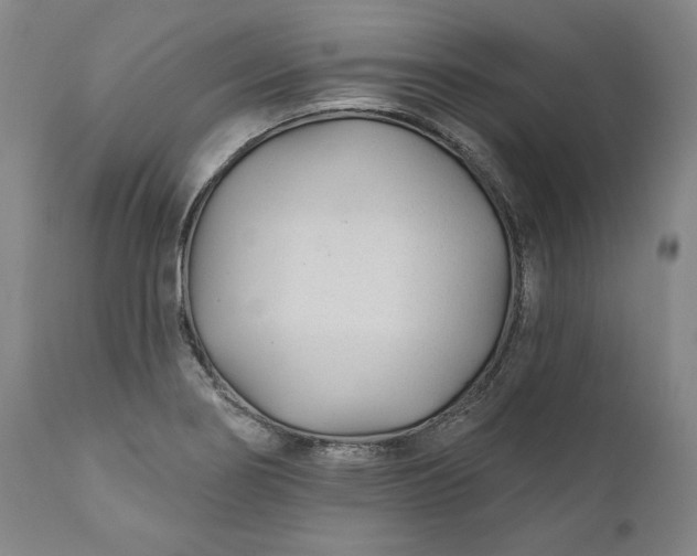 X0000110921274200907021451