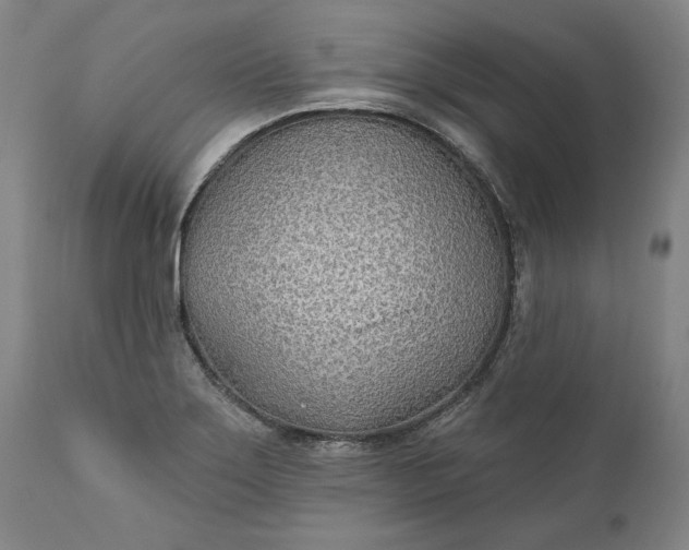 X0000110921275200907021451