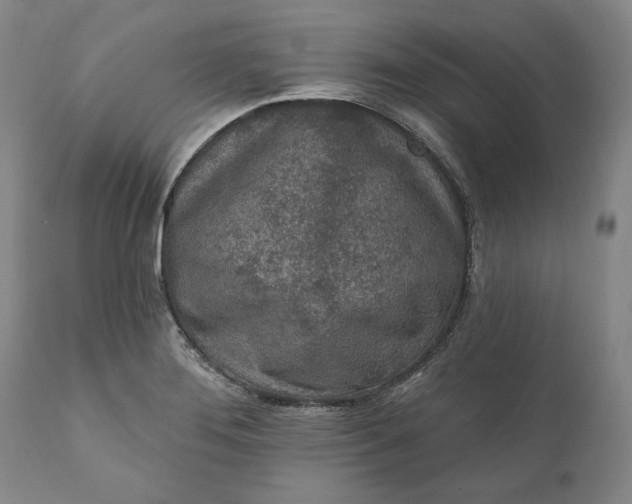 X0000110921276200907021450
