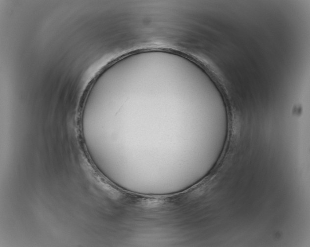 X0000110921278200907021450