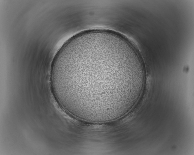 X0000110921279200907021450