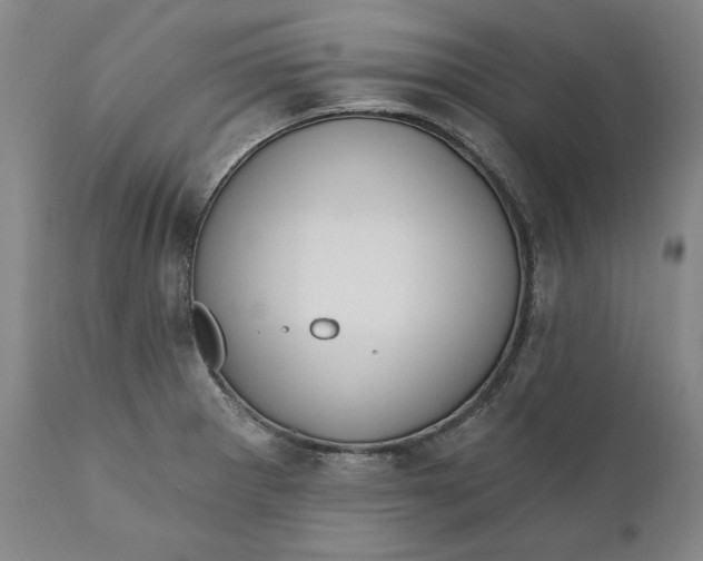 X0000110921281200907021450