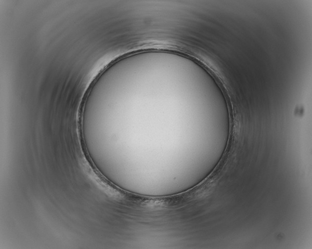 X0000110921283200907021450