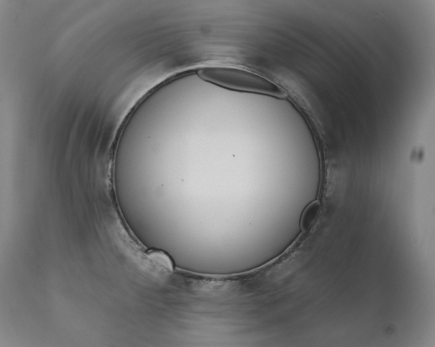X0000110921284200907021450