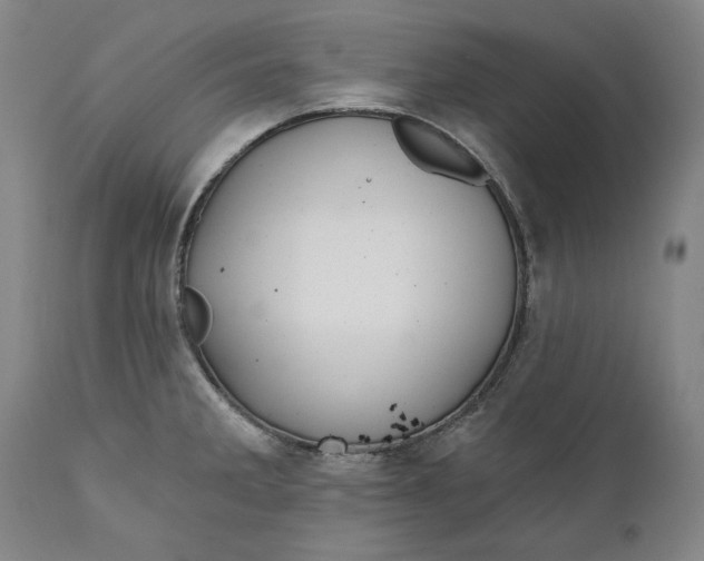 X0000110921285200907021450