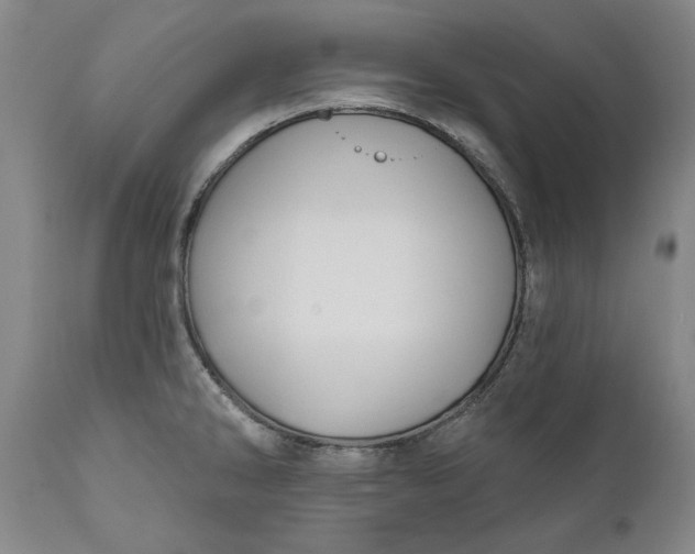 X0000110921286200907021450