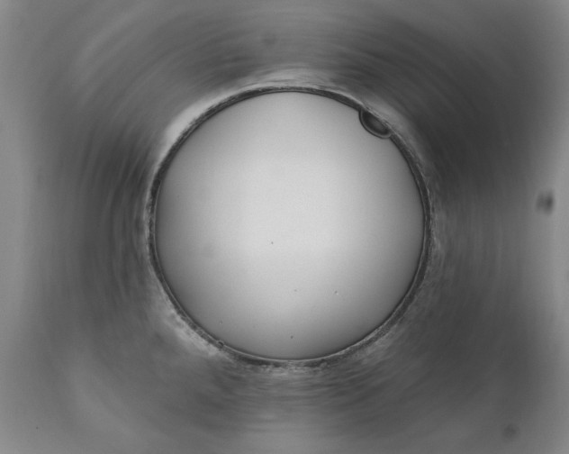 X0000110921288200907021450