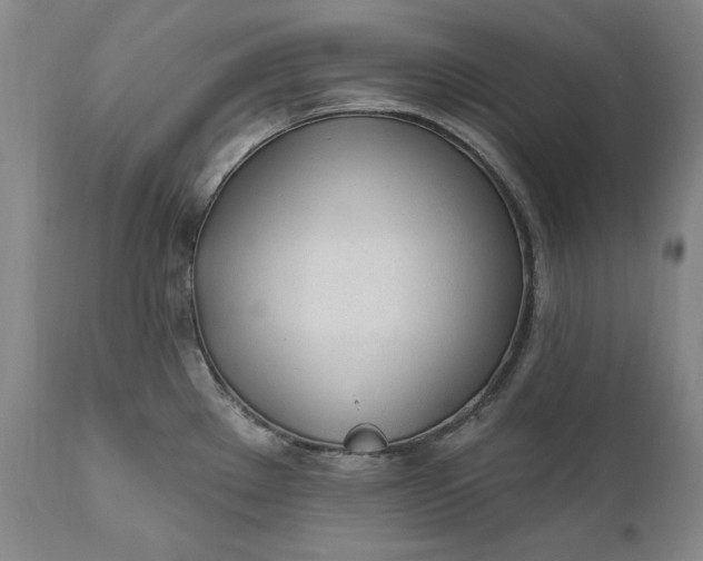 X0000110921289200907021450